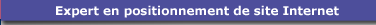 Expert en r�f�rencement de site Internet